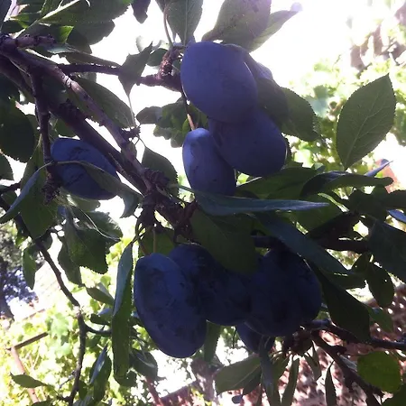 Dai Nonni Panzió 3*